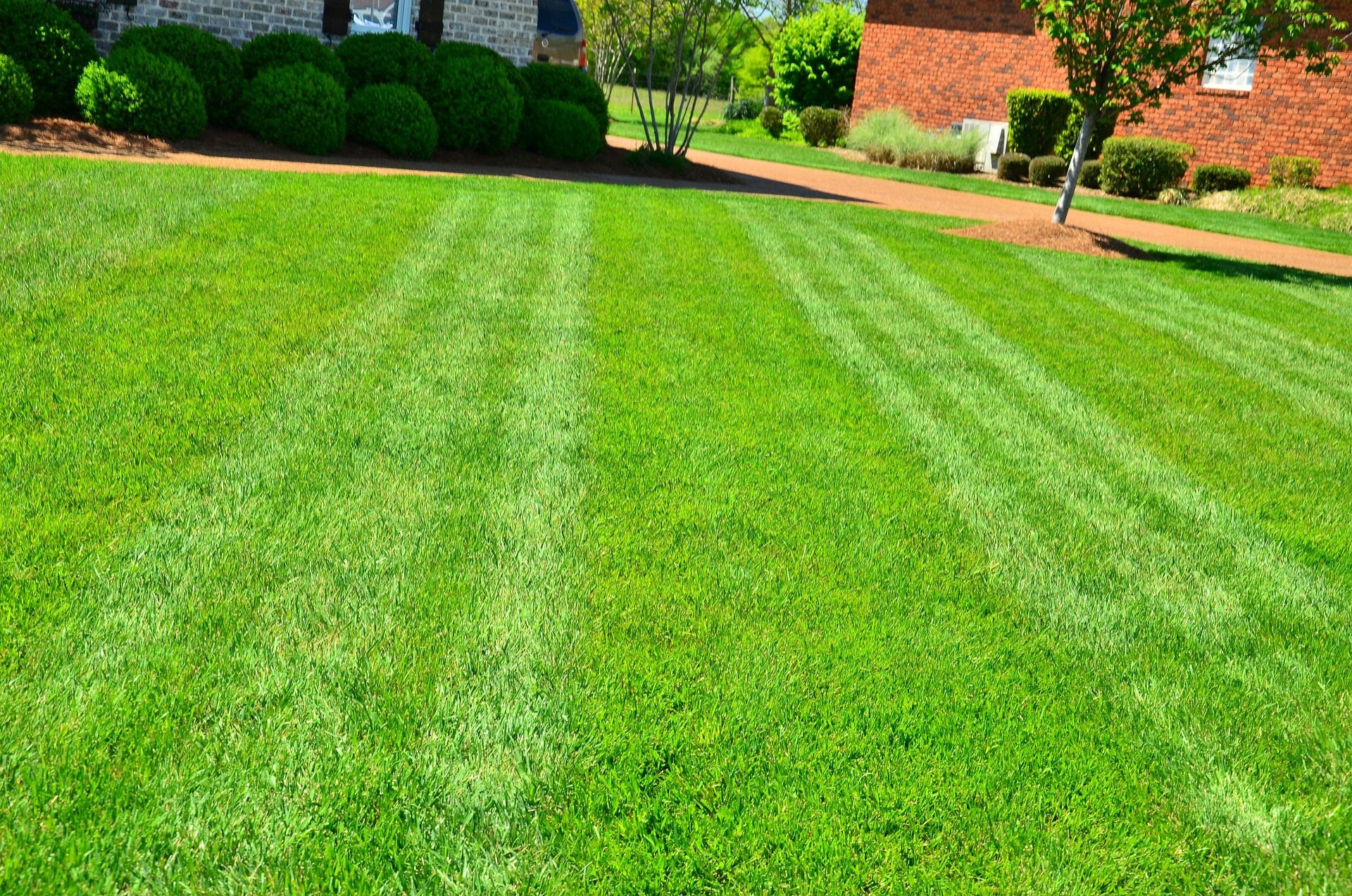 Dallas, Texas Could Ban GasPowered Lawn Equipment Oso Electric Equipment